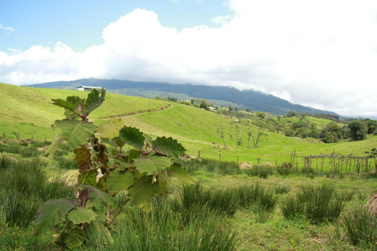 Holiday home Casa Volcano Panoramic View Vara Blanca (Heredia)